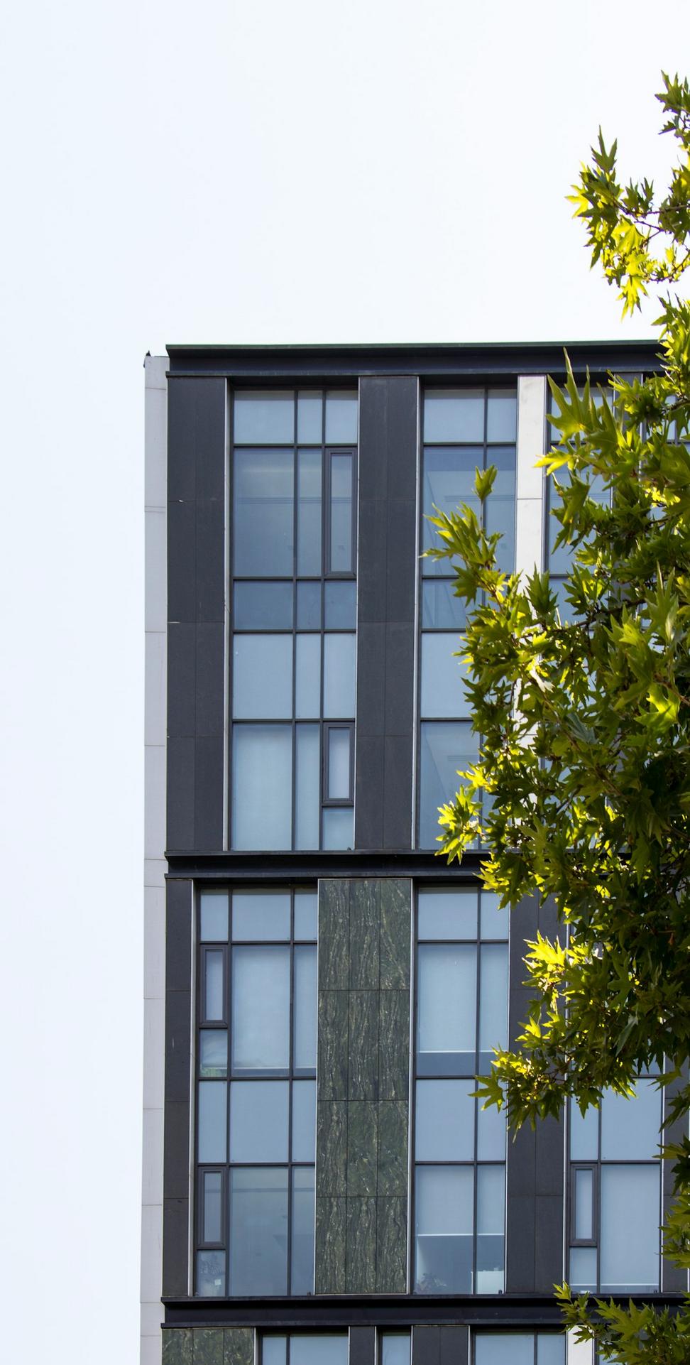 Kitsilano Net-Zero Home